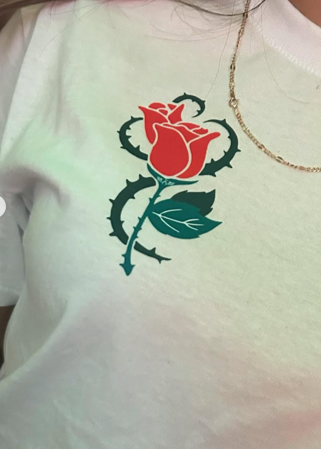 Por amar a ciegas 🌹